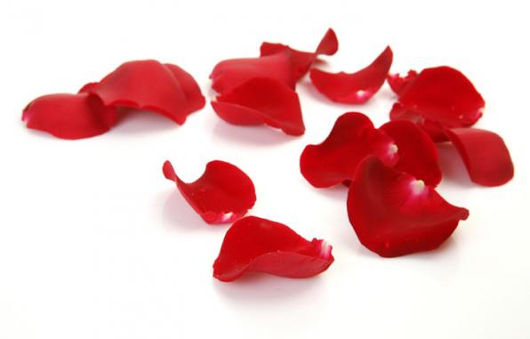 Where to buy real rose petals?