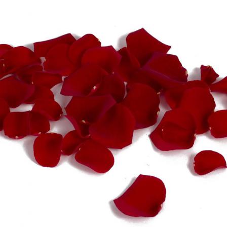 Are freeze dried rose petals biodegradable? 