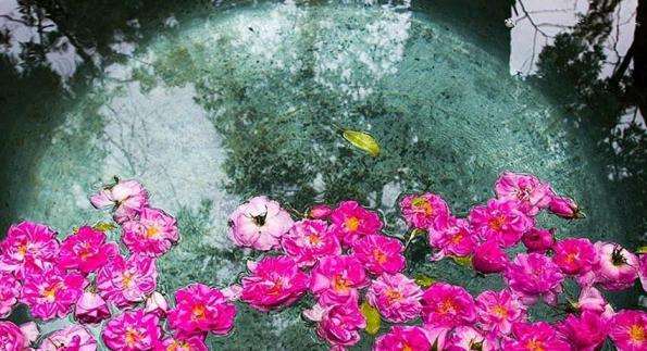 What are the uses of rose petals?