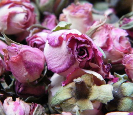 Wholesale Dried Rose Buds  