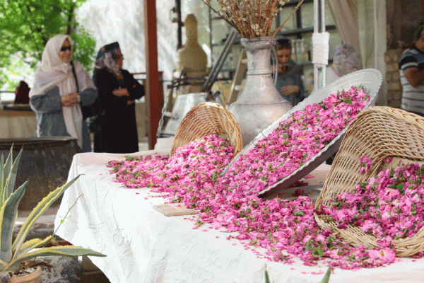 Are dried rose petals edible?