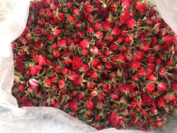 Biggest consumers of dried rose buds and petals in the world 