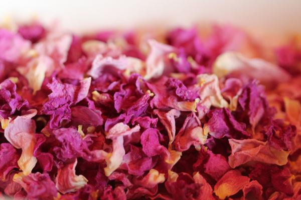 Find High-Quality organic dried rose petals at best price