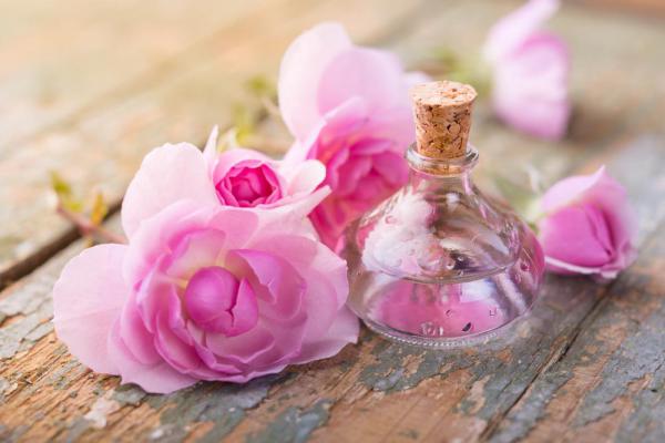 Forecasting the future of damask rose oil 