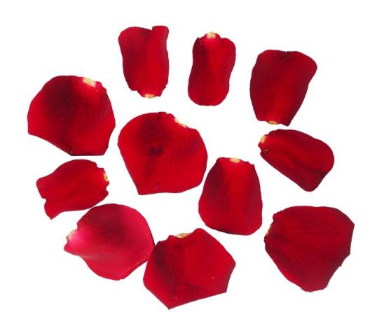 Rose petal wholesale export data