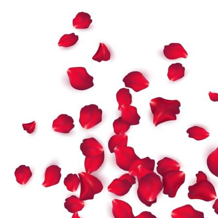 Buy rose petal at wholesale price