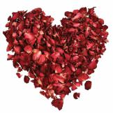 Where can You buy rose petals?