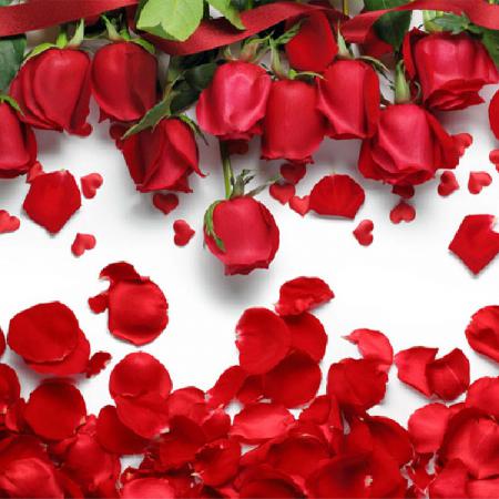 Dried rose petals wholesale price