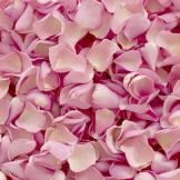 Where can You buy fresh rose petals?