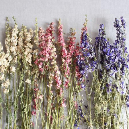  Buy dried flowers bulk With free delivery