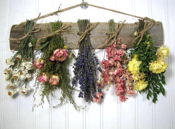 Purchasing Dried flowers in bulk at reasonable price