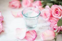 export organic edible rose water at best price