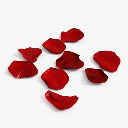 Can you use rose petals in a bath?