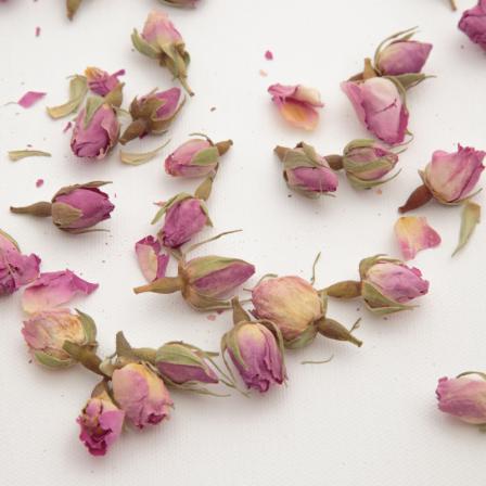 Dried Pink Roses Supplies companies