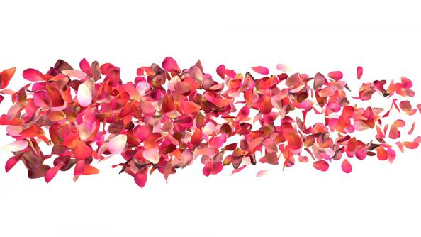 Online shopping for Rose Petals