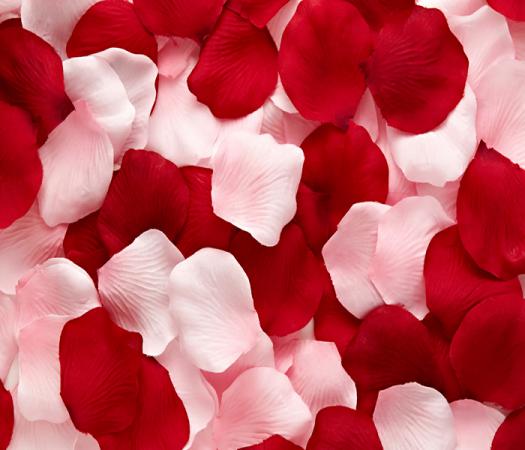 How many rose petals are on a rose?