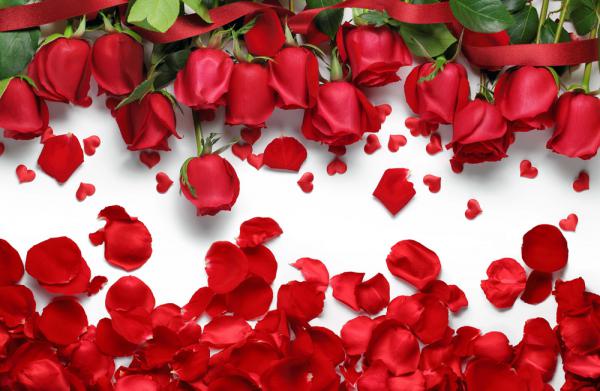 Where to buy rose petals in store?