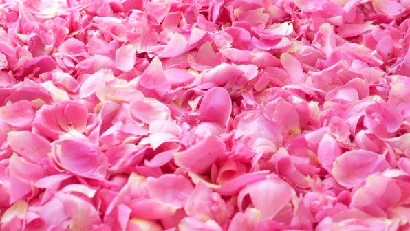 How much are real rose petals? 