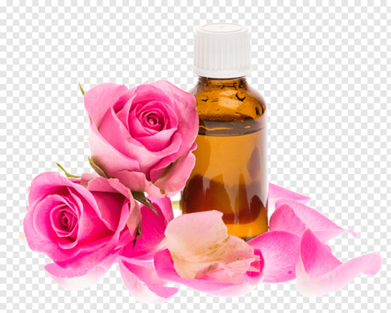 damask rose essential oil benefits