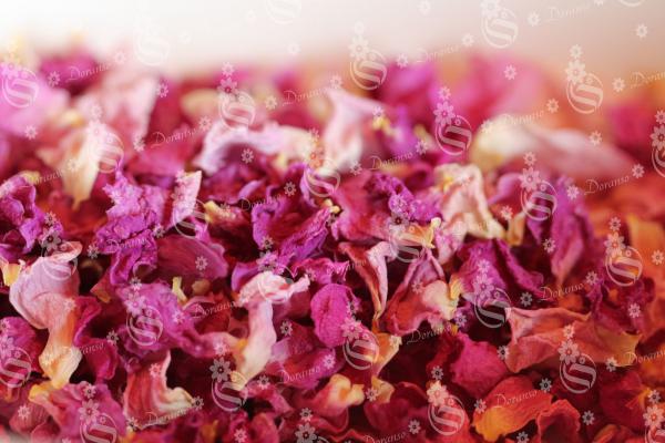 Dry Rose Flower Price