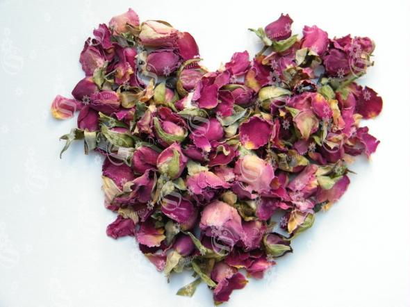 Where to Find Small Rose Buds Suppliers?