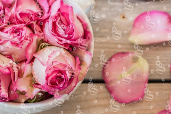 Prices of Fresh Rose Petals Types