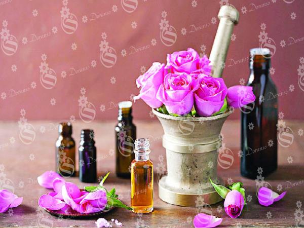 Ways to increase rose flower bud selling