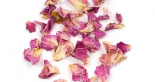 Production company of rosebuds dried