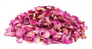 Damask rose for sale at Discounted prices