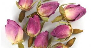 Buy a kilo of Damascus flower bud at a reasonable price