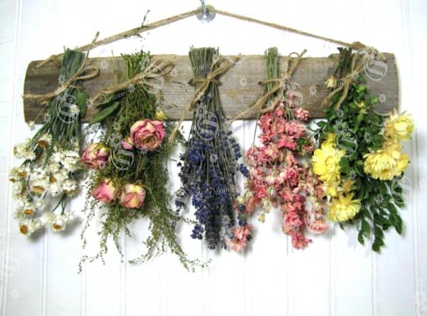 Wholesale dried flowers at best price