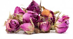 Where to Buy Dried Baby Rose Buds Cheap?