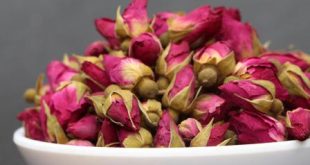 Oldest Dried Rose Bud Producers