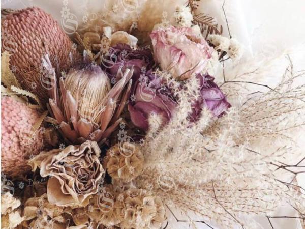 Buy Dried Flowers at reputable places