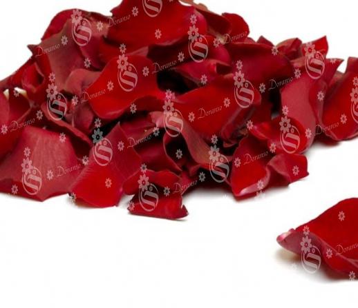 Wholesale bulk rose petals trade