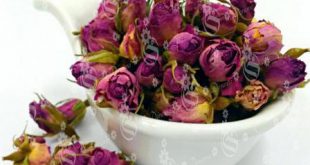 Dried rose buds wholesale in UK