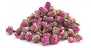 Dried Miniature Rose buds Distribution centers