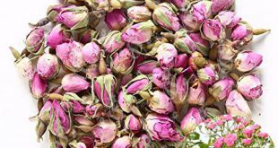 Dried flowers wholesale recent data