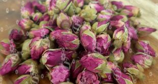 Where to find Dried mini rose buds?