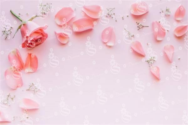 Cheap wholesale rose petals 