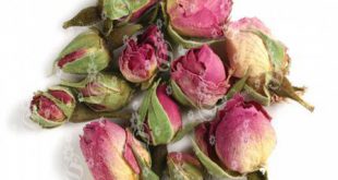 Price Fluctuation for small rose buds