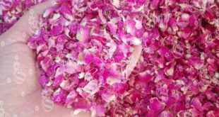 How much does Pink roses dried bunch cost?