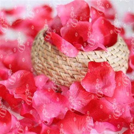 Best offer for Wholesale Artificial Rose Petals