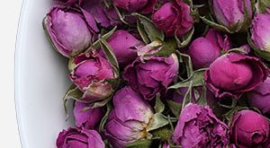 Dried Miniature Rose buds Distribution centers