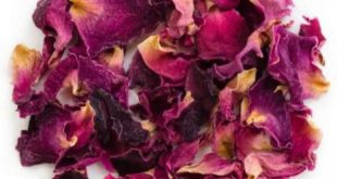 Damask rose for sale at Discounted prices