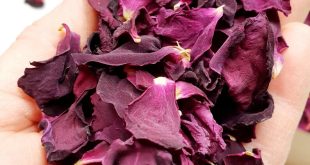 Demand for dried rose buds in UK