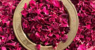 Buy wholesale rose petals in bulk