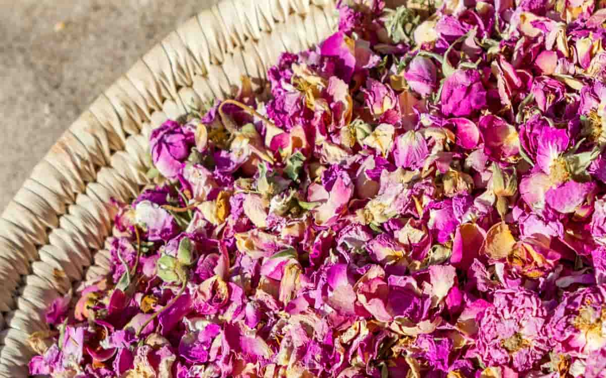 Shopping center for dried miniature rosebuds