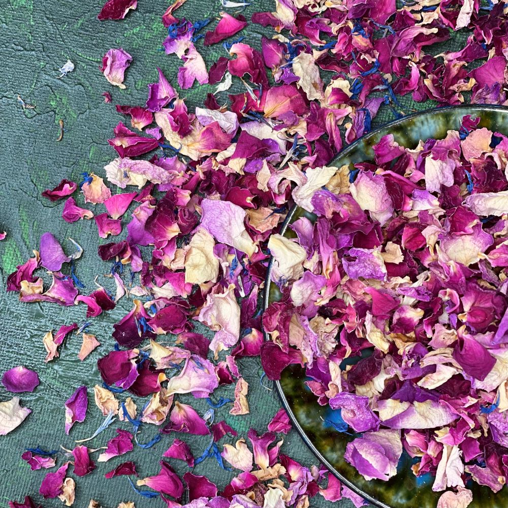 Where can you find rose petals at best price