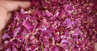 Find Dried petals wholesale in UK